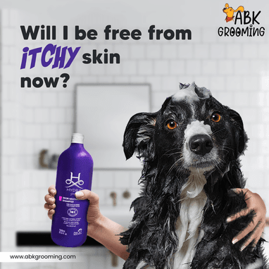 Jiyo skin campaign creative with dog